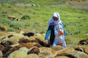 بیش از ۸۲ هزار خانوار روستایی در آذربایجان غربی بیمه هستند